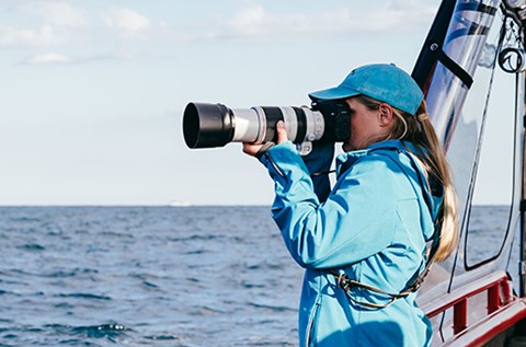 lisa skelton photography whale photographer port stephens