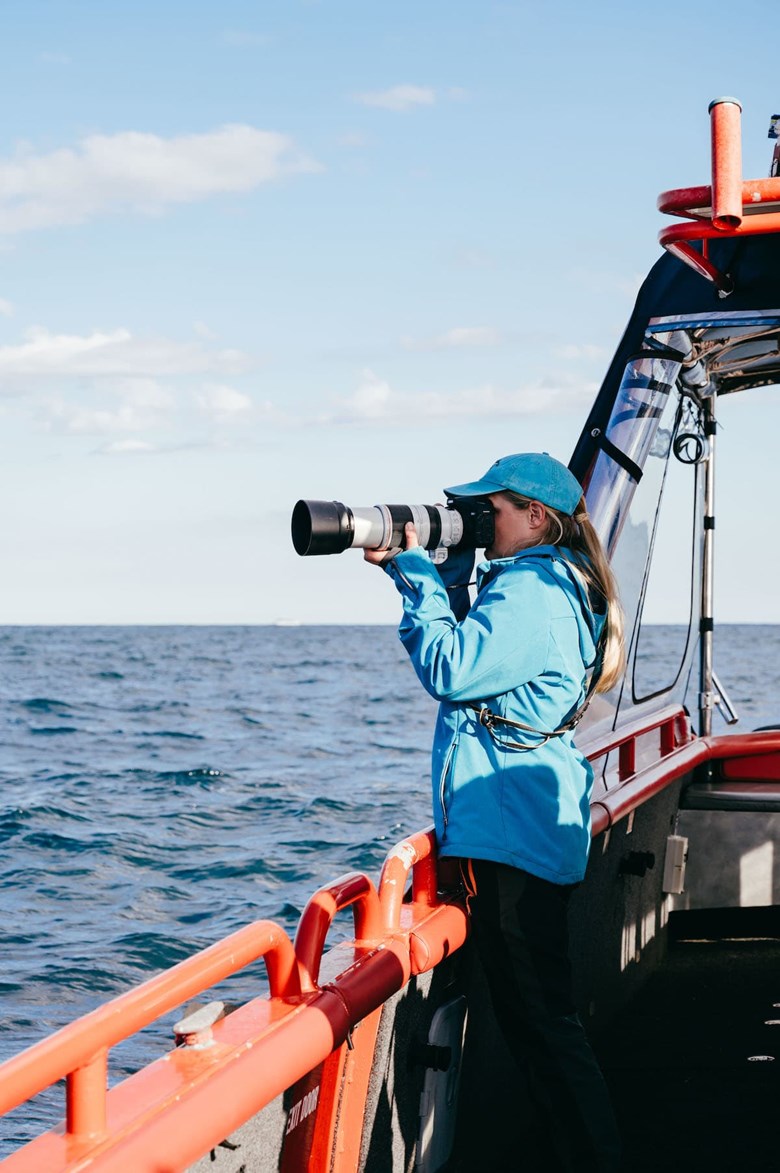 lisa skelton photographer port stephens whale watching