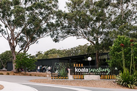 port stephens koala sanctuary one mile things to do