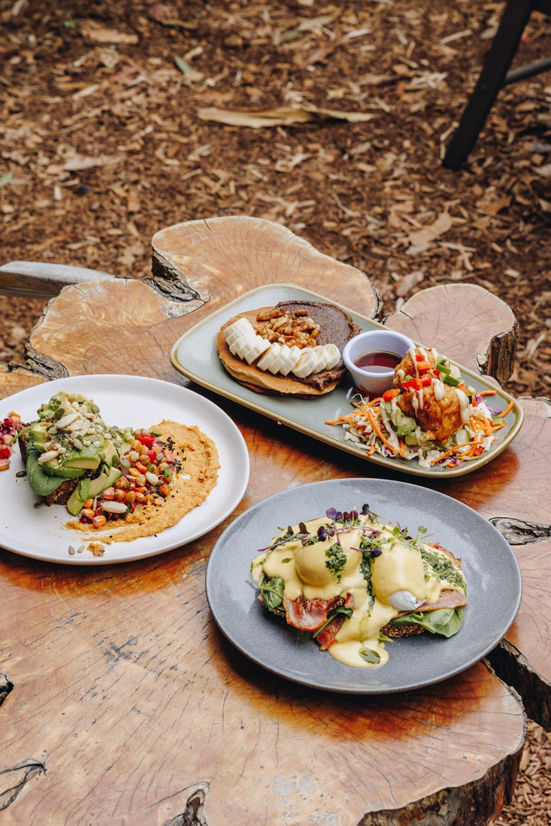 vegan dining on the central coast nsw