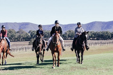 murchessons equine horse riding tours hunter valley