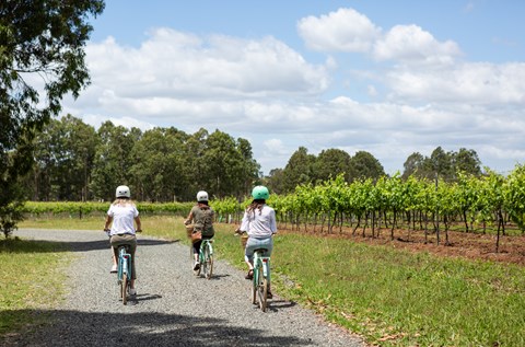 cycling in the hunter valley