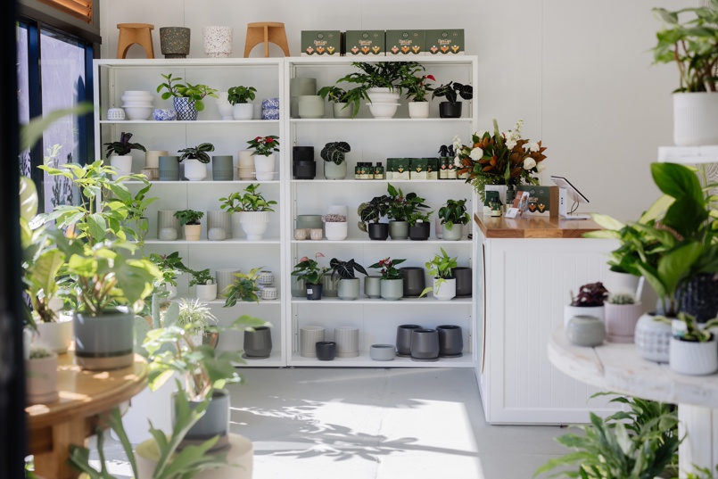 the nursery on glebe adamstown newcastle nsw