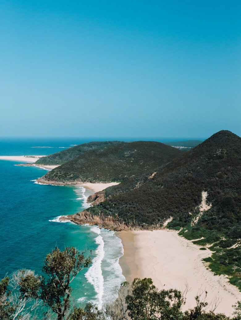 Port Stephens Koala Sanctuary