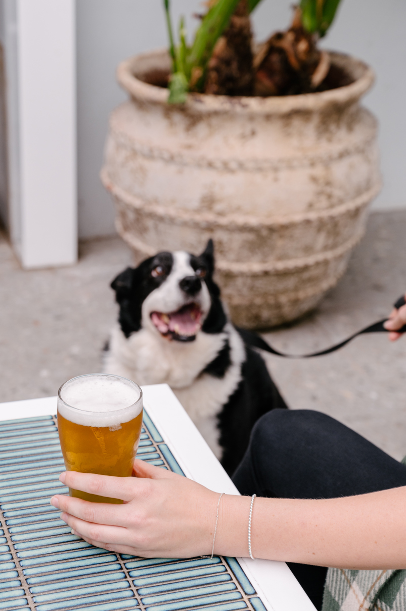 dog friendly cafes pubs and bars newcastle nsw