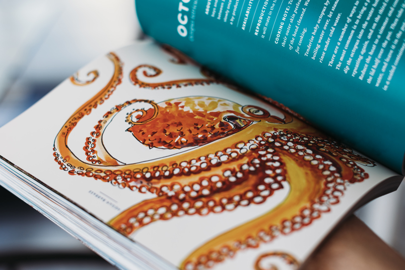 port to plate cookbook port stephens nsw