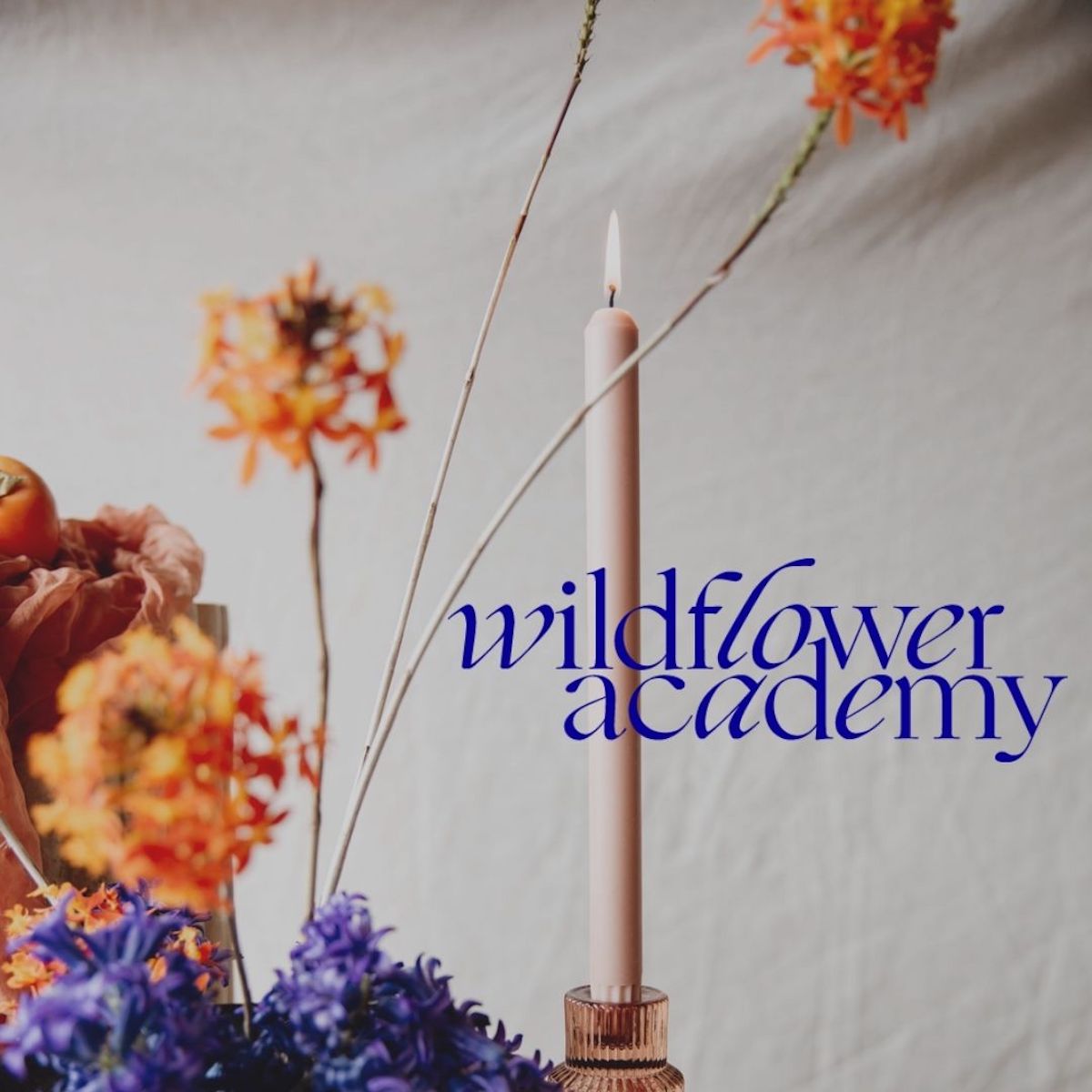 wildflower academy online floral platform film and foliage newcastle nsw