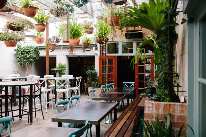 newcastle pub beer gardens newcastle nsw