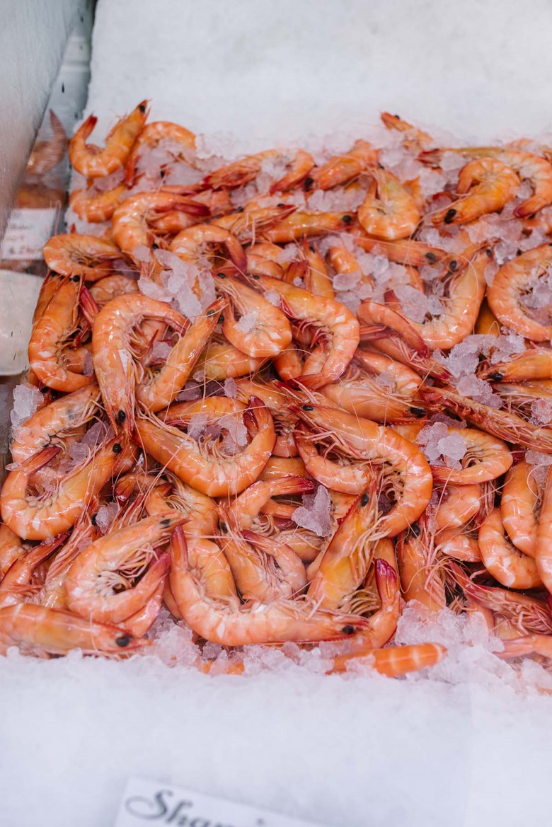 shanes seafood retail shop carey bay lake macquarie