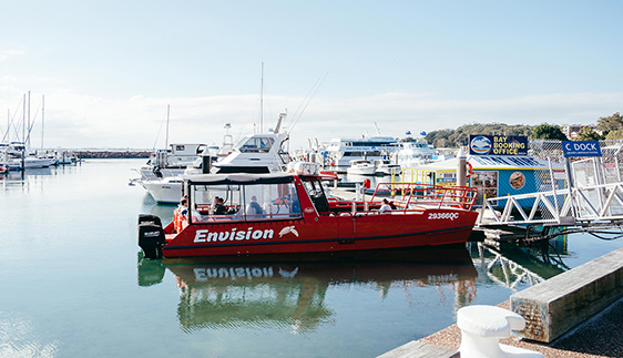 aquamarine adventures whale watching tour port stephens