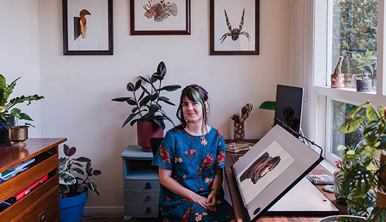 artist sami bayly natural history illustrator painter drawer newcastle