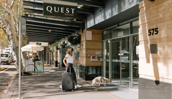 quest newcastle pet friendly accommodation dog friendly itinerary newcastle nsw
