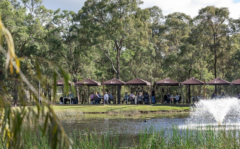 best hunter valley cellar doors for lunch the deck cafe