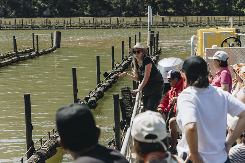 Oyster Farm
