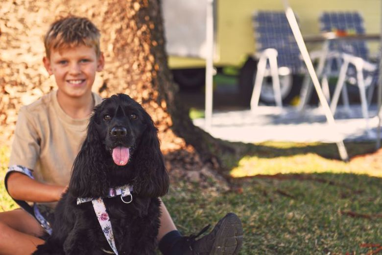 Camplify Pet Perfect Getaways