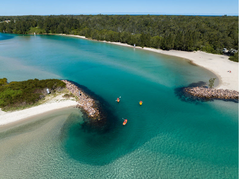Lake Macquarie Wildlife Experiences