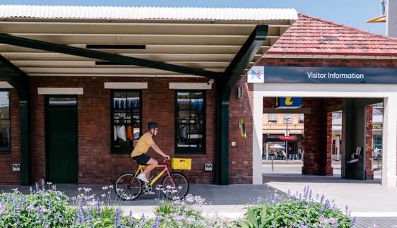 newy rides newcastle bike tours