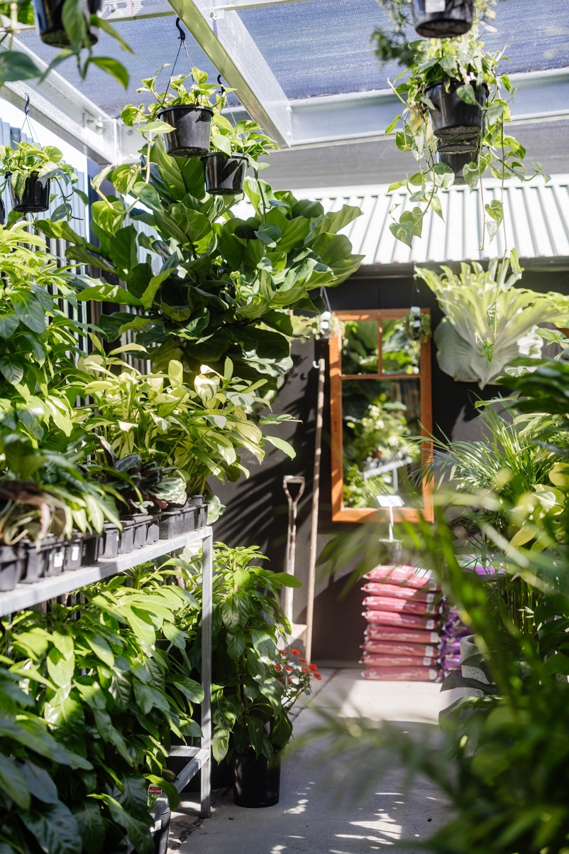 the nursery on glebe adamstown newcastle nsw