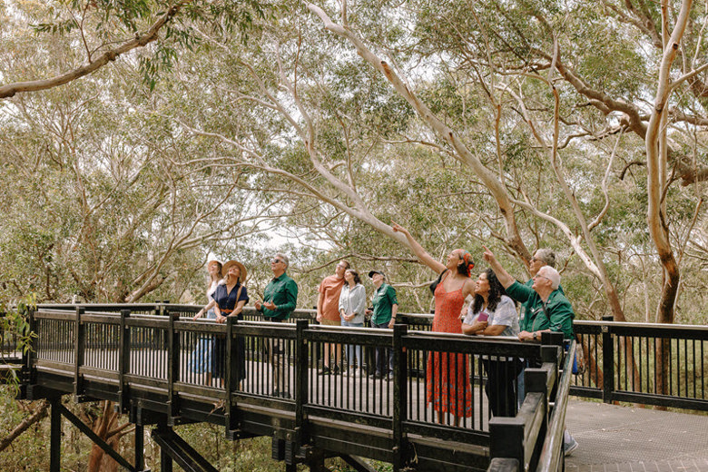 Tomaree Coastal Walk