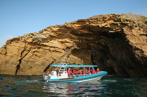 coastxp scenic boat cruise tours newcastle
