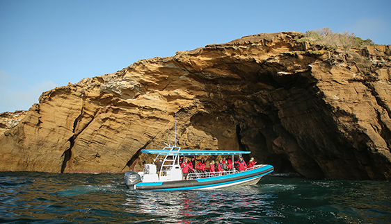 coastxp scenic boat cruise tours newcastle