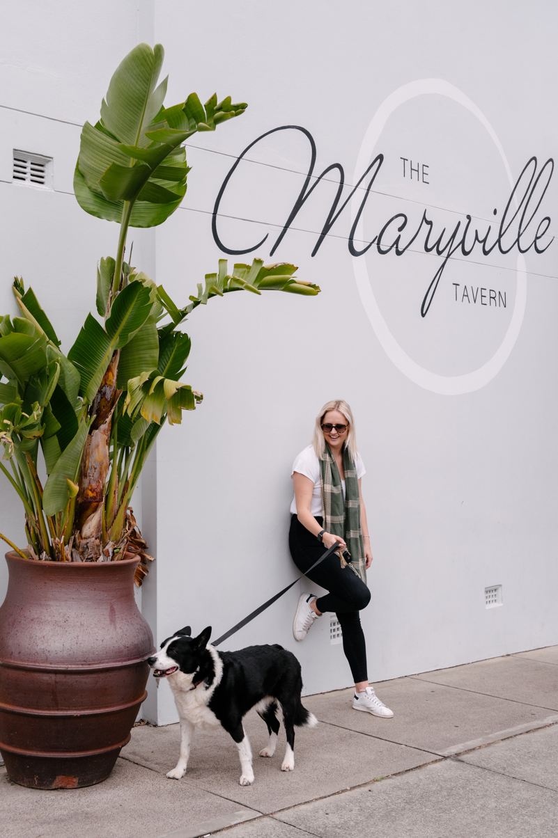 dog friendly cafes pubs and bars newcastle nsw