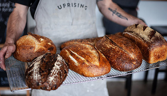 Baked Uprising