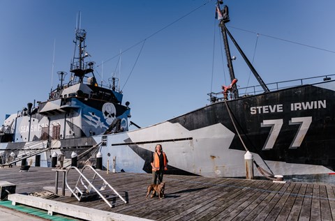 sea shepherd my steve irwin ship 4 good newcastle nsw
