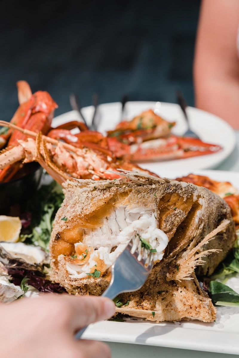 best seafood restaurants newcastle central coast port stephens