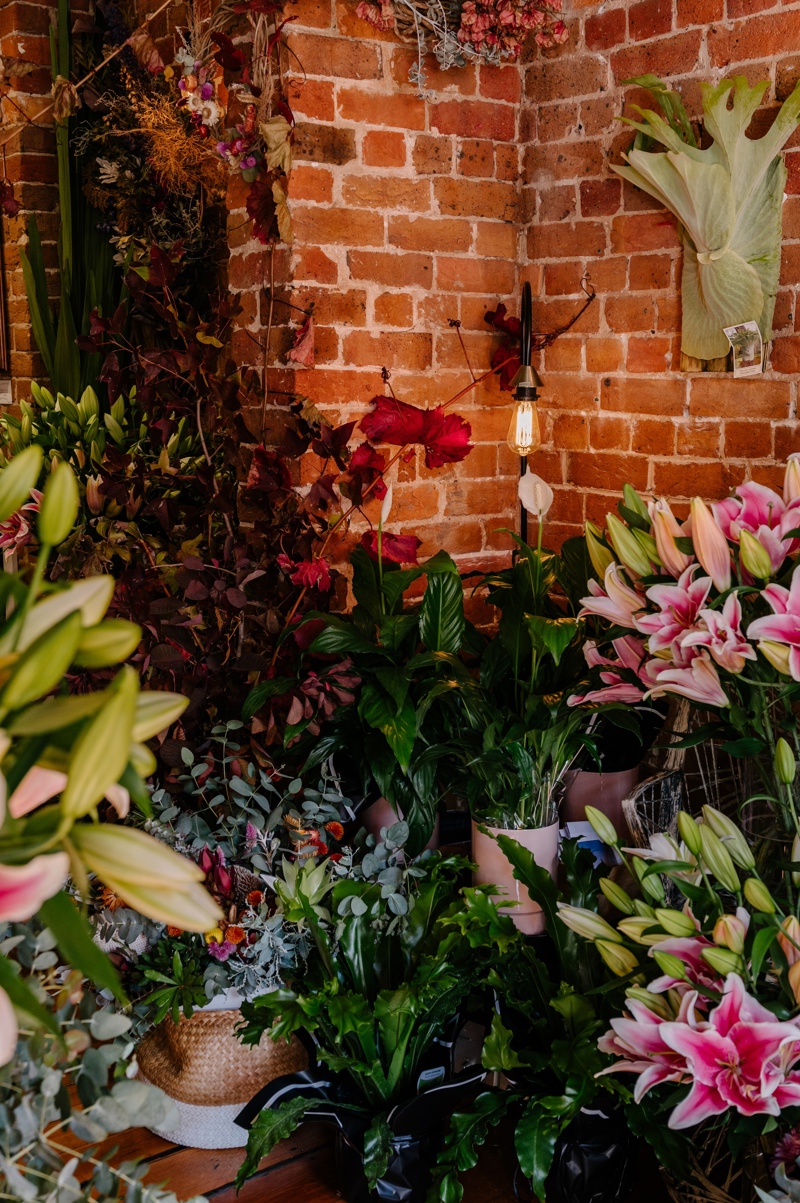 sister sister flower gallery king street newcastle nsw