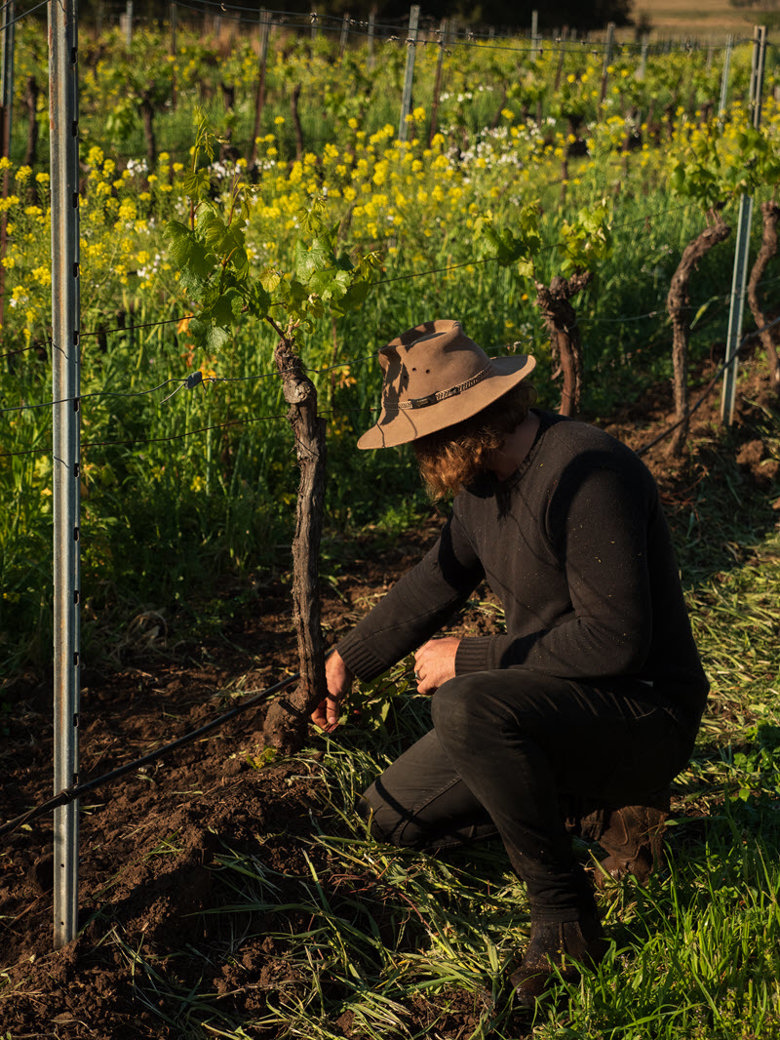 Vinden Wines