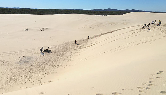 Sand Dune Safaris