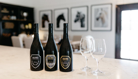 Dark Horse Vineyard