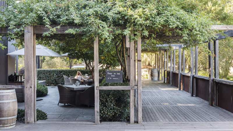 family friendly cellar doors wine tasting hunter valley