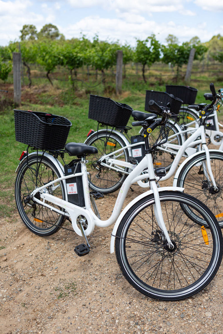 cycling in the hunter valley nsw