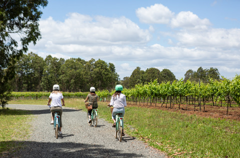 cycling in the hunter valley nsw