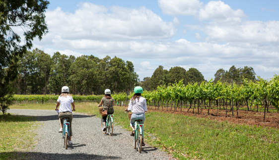 cycling in the hunter valley nsw
