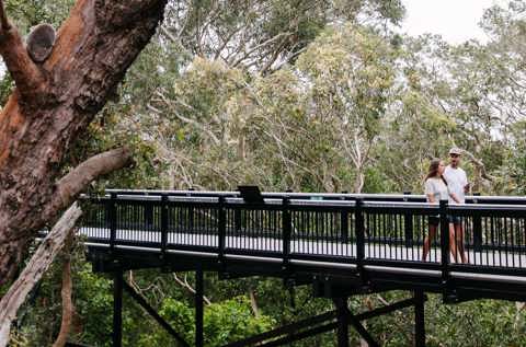 activities to do in port stephens nsw