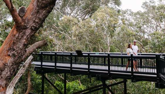 activities to do in port stephens nsw