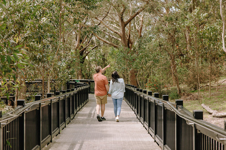 Koala Sanctuary Port Stephens
