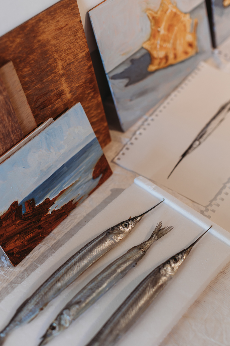 port to plate cookbook port stephens nsw