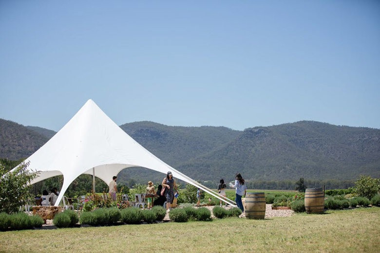 Hunter Lavender Farm