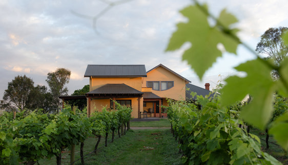 Tranquil Vale Vineyard Hunter Valley NSW