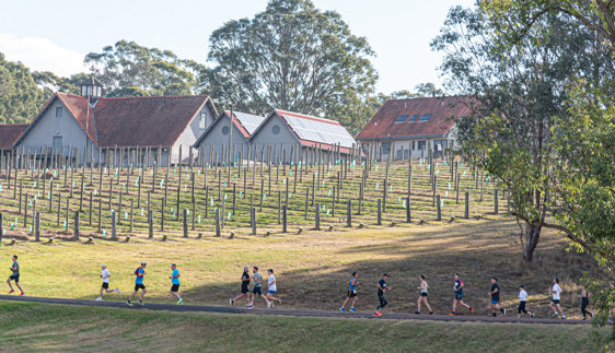 Hunter Valley Winery Run 2026