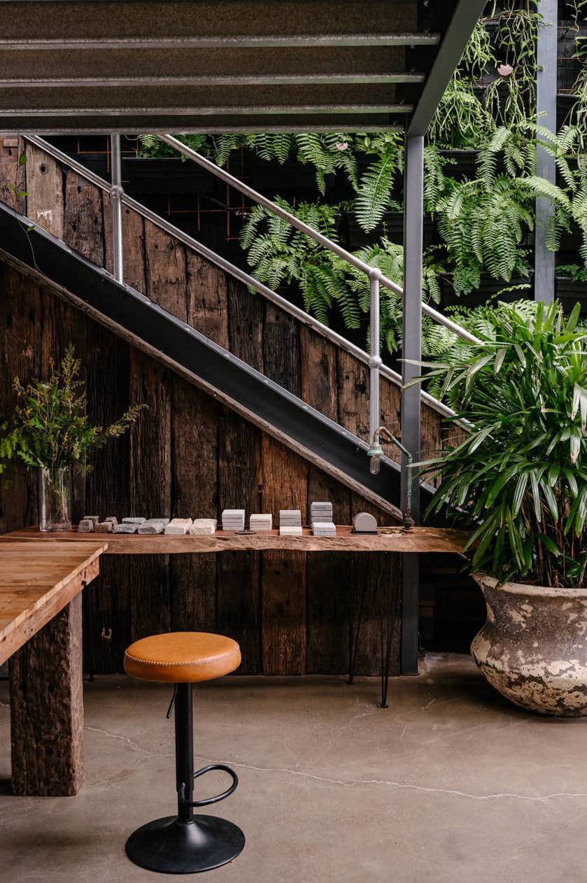 moss boss studios indoor outdoor sustainable landscape design newcastle nsw