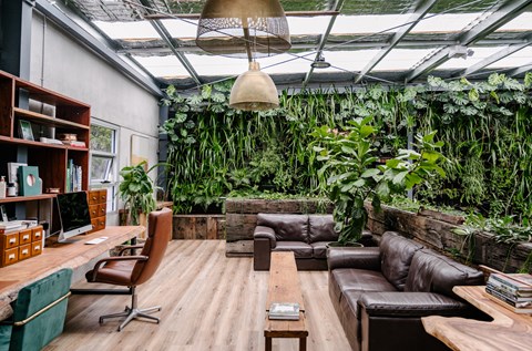 moss boss studios indoor outdoor sustainable landscape design newcastle nsw