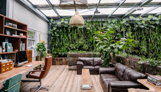 moss boss studios indoor outdoor sustainable landscape design newcastle nsw