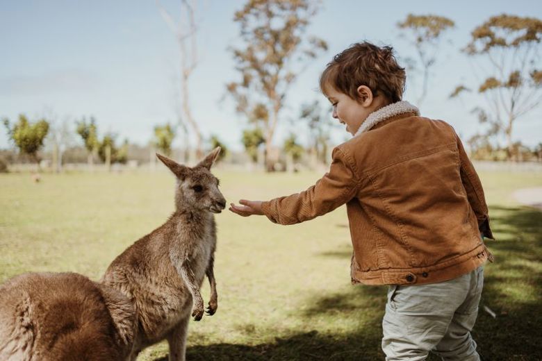 Oakvale Wildlife Park