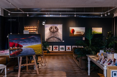 studio amsterdam patricia van lubeck studio gallery maitland hunter region nsw
