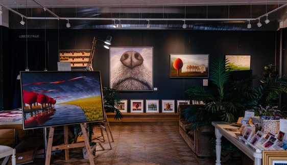 studio amsterdam patricia van lubeck studio gallery maitland hunter region nsw
